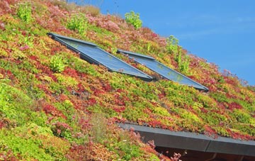 Miningsby living roof systems